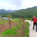 서선경로당 Daum카페
