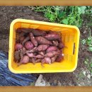 구구농장 이미지