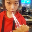 [JEJU]171016_강아지 제주도여행, 협재해수욕장, 협재행오버카페,제주도애견동반펜션