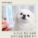 도그니즈 류신 프로틴 강아지 관절 영양제 후기