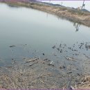 은빛여울 | 토붕사 형제봉조우회4월 정출후기