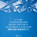 한국파쇄㈜ 이미지