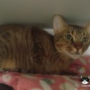 시드니호텔 2 이미지