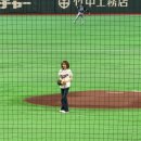 제이알 코리아 | 2026 WBC 도쿄돔 직관 후기 ( 한일전을 제외한.. )