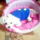 우리미용실 이미지