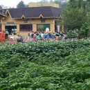 산울림유치원 이미지