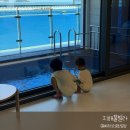 어르니풀빌라 | 거제 풀빌라 추천, 아이와 함께 가기 좋은 오션뷰 숙소 ! 거제 지해풀빌라 !