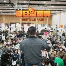 아이들에게 좋은 경험 빅혼 후기