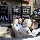 디티코리아 이미지