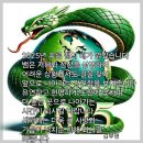 2025년1월1일(수)일출산행//싸이몬 총대장님 주관 이미지