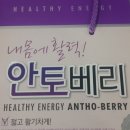안토베리