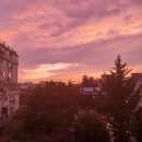 용인대탑(TOP)복싱 이미지