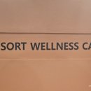 리조트휘트니스 헬스&PT 롯데백화점 일산점 | 일산 PT 만족스러운 리조트휘트니스 헬스&amp;PT 롯데백화점 일산점 후기