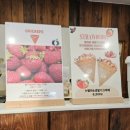 포항 양덕 크레페 전문점) 오크레페 포장후기/ 포항에 상경한 크레페 전문점