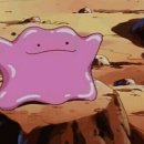 우리집 식당 이미지