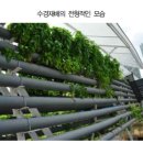농부심 이미지