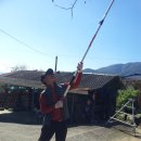 김용수 농장 이미지