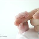 포도나무 - 구로구 개봉로17길 22 | 포도나무
