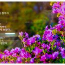 조태일 시문학기념관 이미지