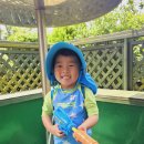 다솜유치원 이미지