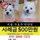 낙동강관리본부 대저생태공원 7 이미지