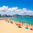 부산교통공단전포분소동 | 🌊 부산 2박 3일 알찬 여행 코스! 해운대부터 감천문화마을까지 완벽 가이드! 🏖️