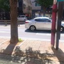 셀트러스트랩 | 부천시청 피부과 - 관리의날 피부관리/피부과로션추천/셀트러스트랩/내돈내산