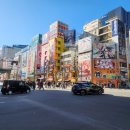 텍스카페(Tax Cafe) | 다시 찾은 도쿄 5탄] 아키하바라 피규어 성지 추천! 중고라 더 저렴한 '라신반(Lashinbang)' 방문 후기