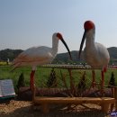 낙동강변16 이미지