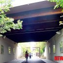 상정농장 이미지