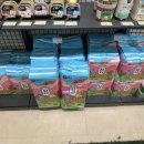 뉴욕애견 이미지