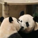 베프 이미지