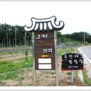 오전애권역 이미지