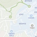 춘천마임축제 여행정보 이미지