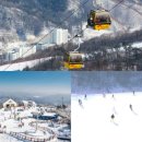 송내1번약국 이미지