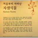 밸리카페