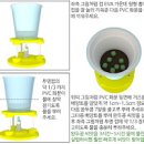 완두콩 심는시기 수확시기 완두콩심기 심는방법 키우기 재배 팁! 이미지