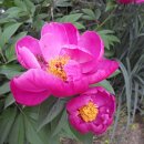 (주)첨지 이미지