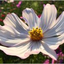 주남마을길 이미지