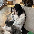 냐옹냐옹고양이카페 이미지