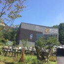 댕댕나비 이미지