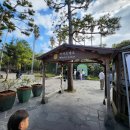 제주 한림 용암동굴지대 | [제주도] 한림공원, 아열대식물과 용암동굴 탐방 (feat. 매화, 수선화 축제)