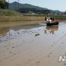 창촌2리 이미지