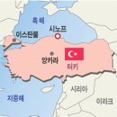 시노프