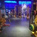 파랑새휘트니스 이미지