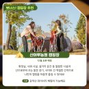 욱채네착한정육점