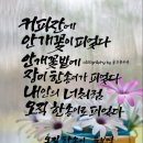 언개경로당 네이버블로그