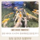롯데백화점 동탄점 | 내돈내산 동탄 아이와 가볼만한 곳 디아쿠아 롯데백화점 동탄점 방문솔직후기