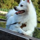 하늘과바람의호수 이미지