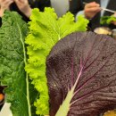 쌈채우리 | [세종 나성동 쌈밥] 웰빙 유기농 우렁 쌈밥 &#39;쌈채우리 세종점&#39; 이용 후기